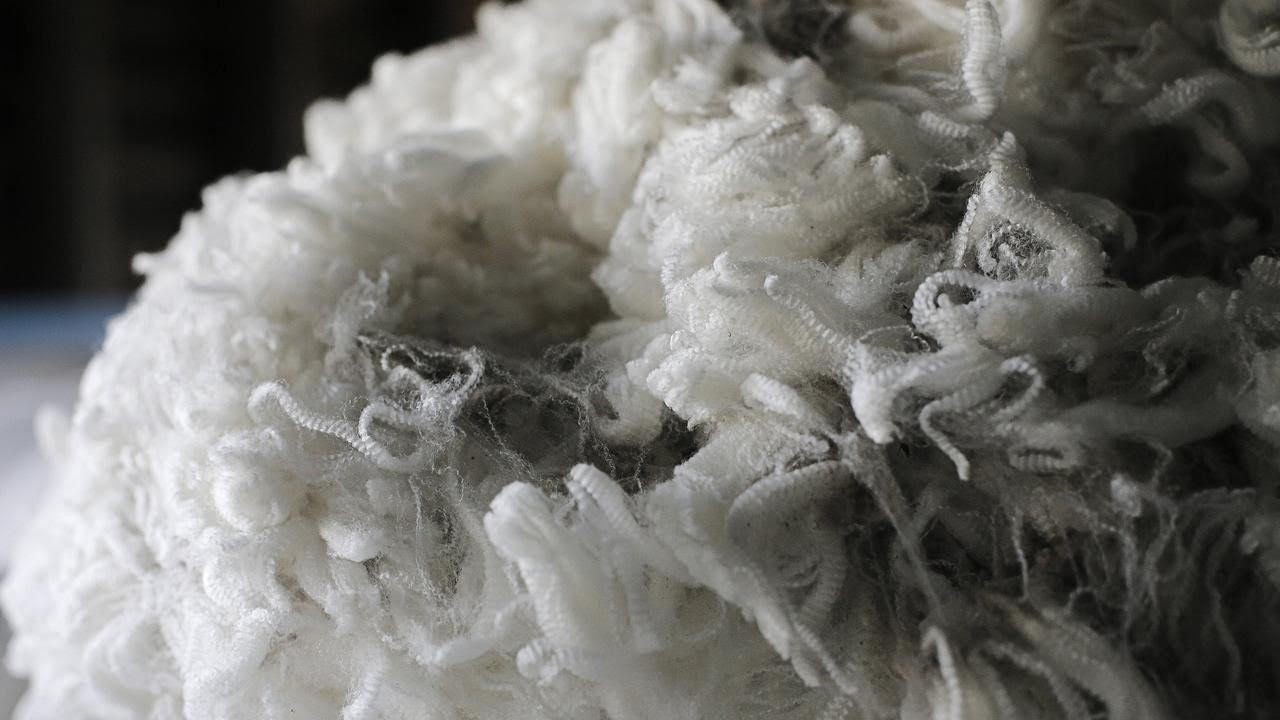 AusHub has doors open for Vietnamese wool exports